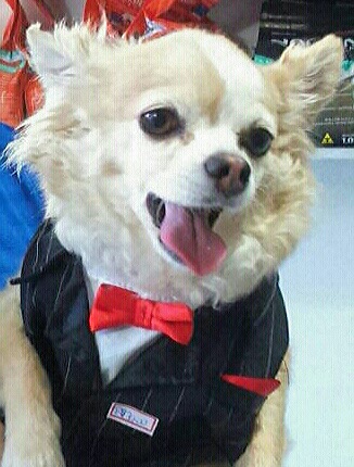 Senhor Charis - Companhia Mascote